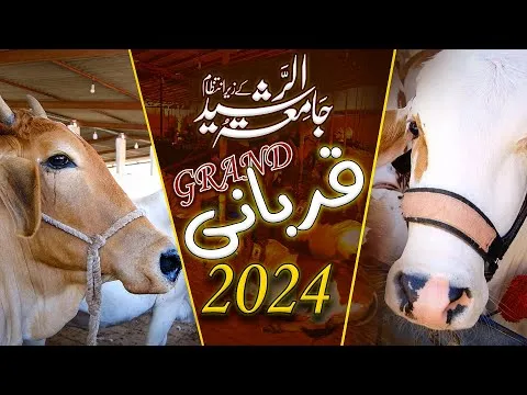 Jamia Tur Rasheed Ijtemai Or Waqf Qurbani 2024 | JTR Media House